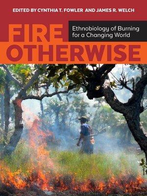 cover image of Fire Otherwise